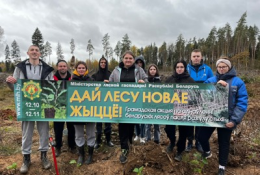 «Дай лесу новае жыццё!»